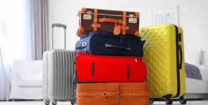 **Travel Gear and Bags**:    - Travel bags and backpacks.    - Travel accessories.